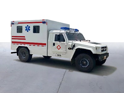  military Ambulances